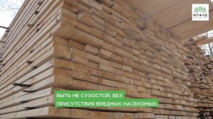 Как правильно выбрать строительную доску? Отличия 1 и 2 сорта. Как проверить доску при покупке?