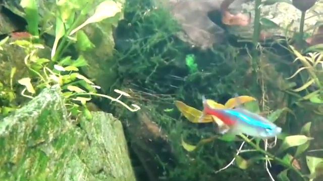 5. cz 2 - Rozmyślań ciąg dalszy смотреть онлайн