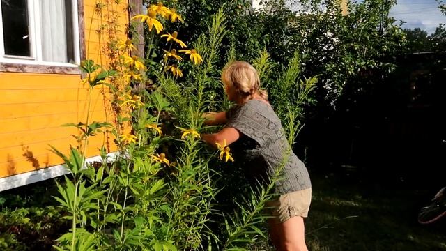 ДОСТОПРИМЕЧАТЕЛЬНОСТЬ НА РЕКЕ МГА. Заехали к подруге, дачный массив Горы. 0+ смотреть онлайн