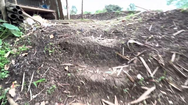 AFTERNOON HIKE AROUND THE RURAL AREA of West Java, Indonesia | Walking with Jony Walker (4K) смотреть онлайн