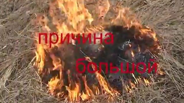 костер в лесу смотреть онлайн