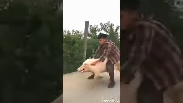 УБЕГАЕМ ОТ ГЕПАРДА смотреть онлайн