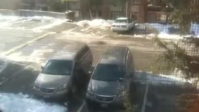 Twin Hondas смотреть онлайн