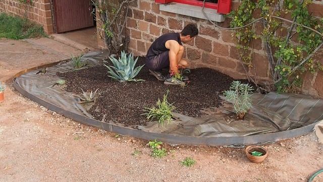Comment Aménager un JARDIN de FLEURS ? смотреть онлайн