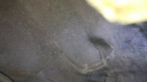 Замена сайлентблоков переднего рычага Тойота Авенсис 2