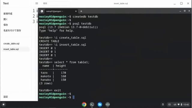 Install PostgreSQL on Chromebook Linux and operate in Python смотреть онлайн