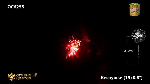 OC6255 смотреть онлайн