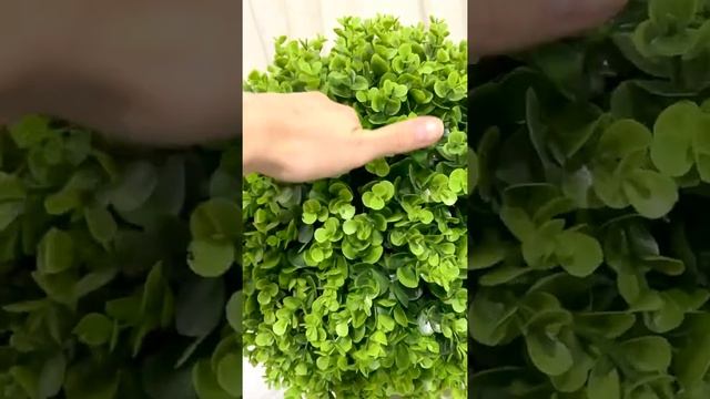 Самшит шар искусственное растение смотреть онлайн