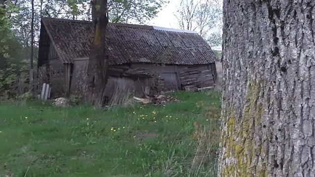 Обзор дома за 200 долларов. Скоро будем жить на хуторе деревня вымирает. Купить дом в деревне дешев смотреть онлайн