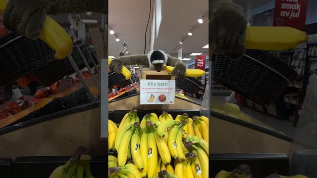 Free Banana from Monkeystrikes смотреть онлайн