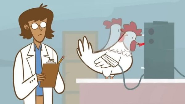 Как животные испытывают боль? [Ted Ed на русском]