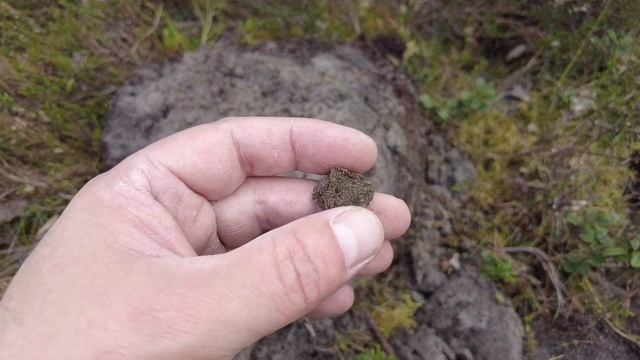 Поверить трудно в чудеса... смотреть онлайн