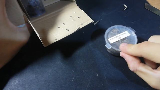 Паучья почта. Два новых паука. смотреть онлайн