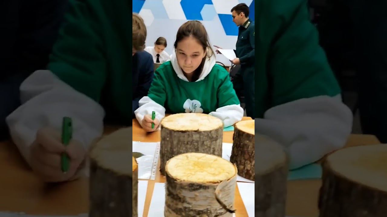 Соревнования школьных лесничеств Ленинградской области в стенах СПбГЛТУ смотреть онлайн