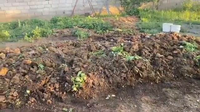 КОРДАЙ ВСТРЕЧАЙ КАЛИФОРНИЙСКИХ ЧЕРВЕЙ #бизнес #черви #рыбалка #биогумус #земля #удобрение.Рахимжан смотреть онлайн