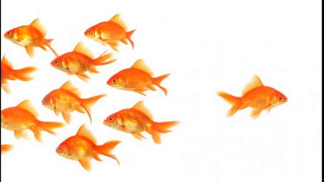 Конформизм и нонконформизм смотреть онлайн