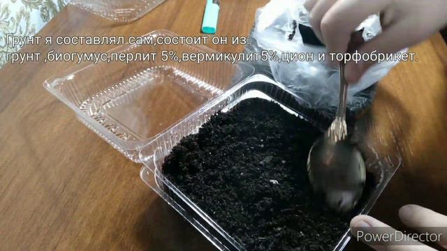 Начало посевной😀/Сеем петуньки и остатки эустомы🌱/Состав моего грунта для растений🌺