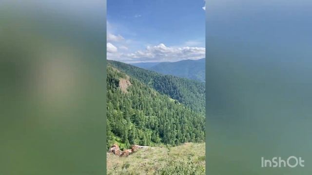 Катаюсь на квадроцикле смотреть онлайн