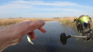 Как ветер влияет на клев щуки осенью?