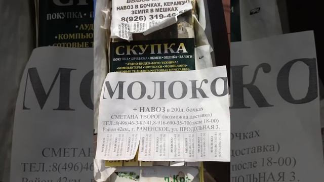 смешные объявления, позитивчик:) продолжение смотреть онлайн