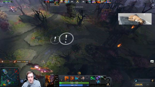 Dota Coach: Crusader Lion смотреть онлайн