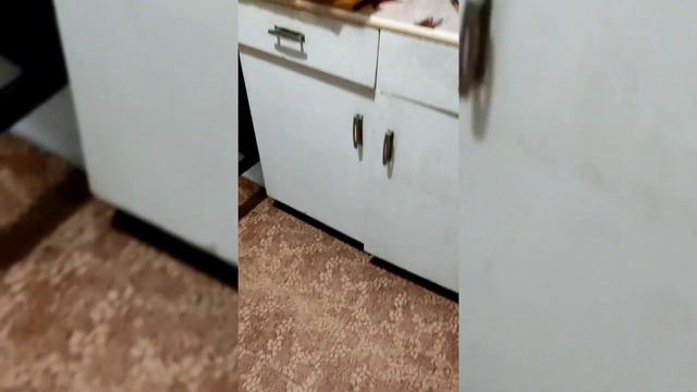сломал ногу. долгожданный отпуск!)) смотреть онлайн