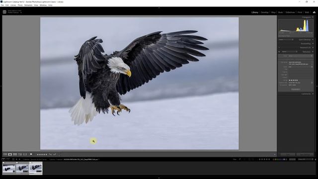 HOW to ADD CANVAS in PHOTOSHOP to improve our Composition смотреть онлайн