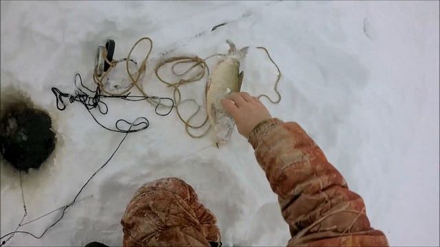 Зимний перемёт Очередная проверка 15 декабря смотреть онлайн