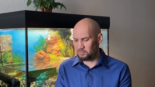 Человек... смотреть онлайн
