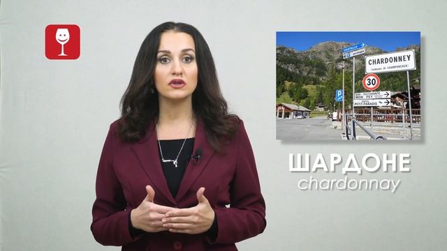 Сорт винограда Шардоне