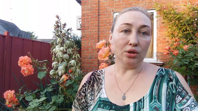 20 дней осталось до Второй Международной конференции Команды СИНЕРГИЯ. Елена Севрикова смотреть онлайн