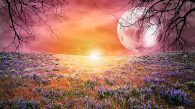 Ментальный лунный цикл. 30-й лунный день.