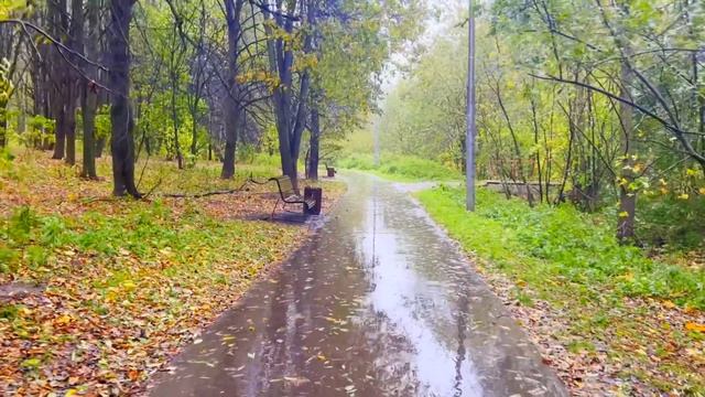 Жена, ты же адекватный человек. Поэтому и должна уволиться и переехать к моей матери. Ей нужен уход смотреть онлайн