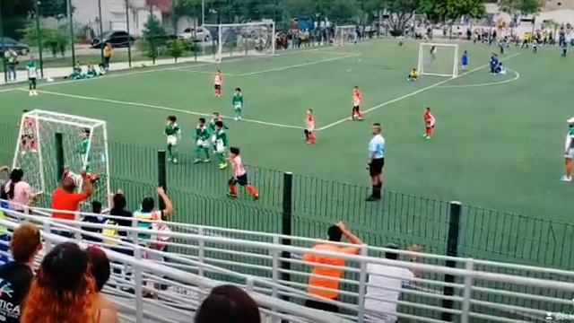 carlos gamarra mi estrella смотреть онлайн