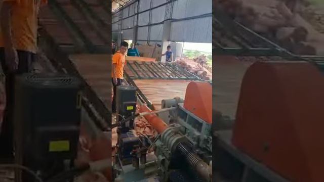 Wood veneer peeling machine peeling lathe #veneermachine #machine #woodworking смотреть онлайн