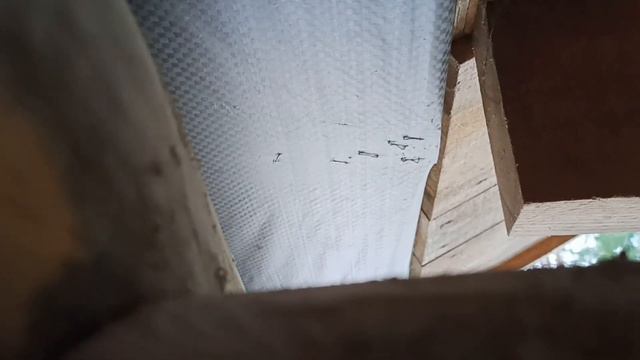 Пароизоляция крыши. Какую плёнку выбрать? смотреть онлайн