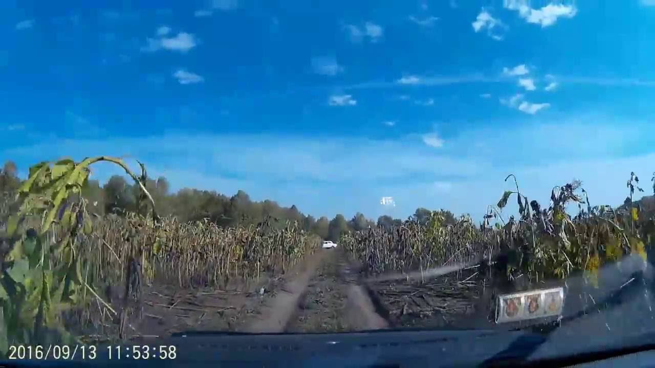 За грибами Палю место смотреть онлайн