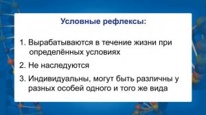 Закономерности работы головного мозга. Врожденные и приобретенные формы поведения. Видеоурок