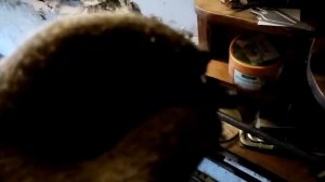 Нива-Будни.Замена сапуна заднего моста