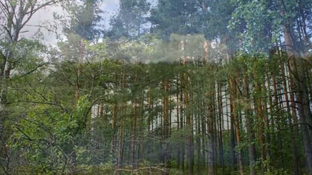 Ржевская авантюра смотреть онлайн