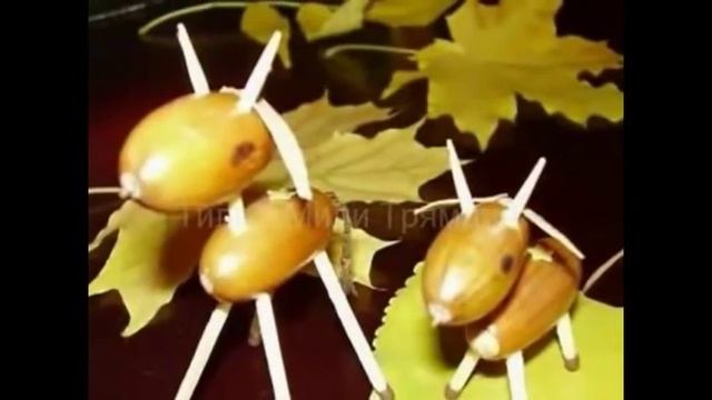 Поделки из желудей-находка интернета смотреть онлайн