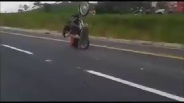 Картошка а не жопа смотреть онлайн