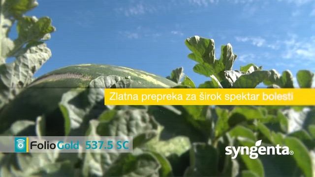 Zaštita povrća - FOLIO GOLD fungicid смотреть онлайн