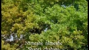 Учим песни Шри Чинмоя - Nimeshe Shanti Chahigo (music by Sri Chinmoy)