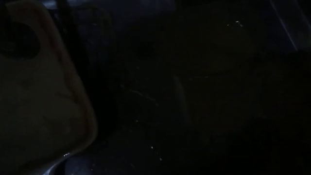 Как выростить кристаллы из сахара дома смотреть онлайн