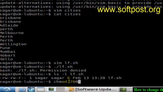 How to change the permission of file in Bash смотреть онлайн