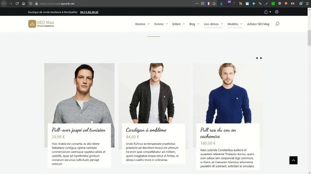 Builders de pages - Thème WordPress SEO Mag смотреть онлайн