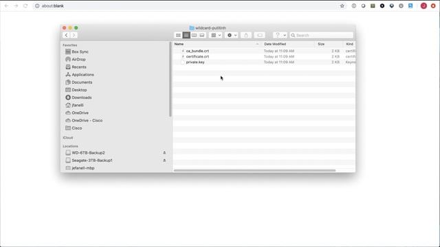 How to issue and install wild-card certificates for ASA Remote Access. смотреть онлайн
