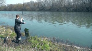 Ловля уклейки весной на поплавок на реке Дон