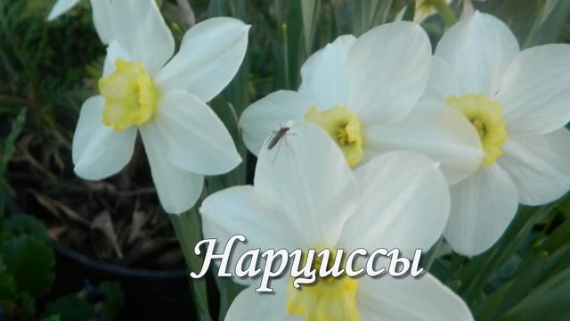 Стройка Вдохновения